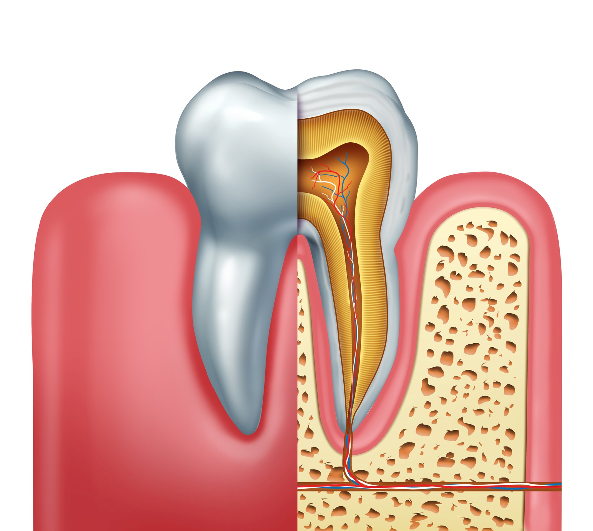 How Much Does a Root Canal Cost in Ontario?